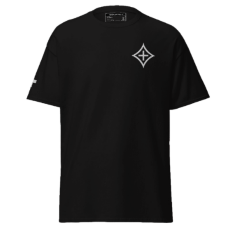 STR CPTL Embroidered Tee